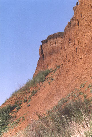 Прибрежные скалы