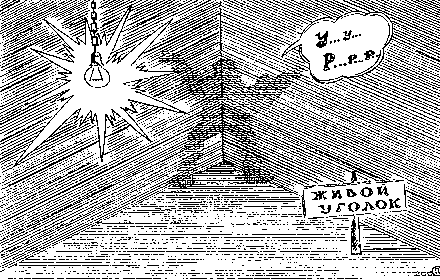 Живой уголок